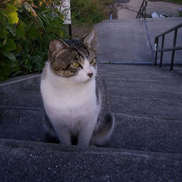 D94237ce 11ac 4a11 96b6 c1958a47142a 1511253904704