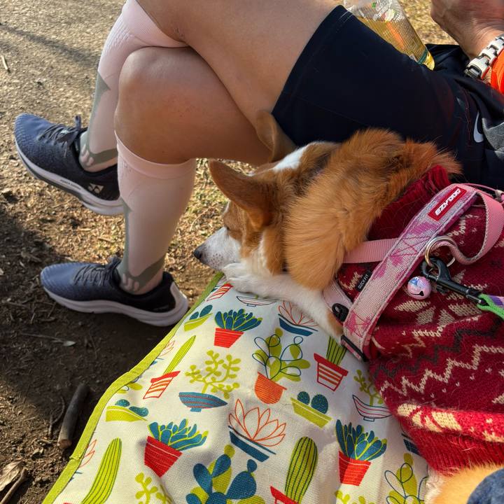 D942489a 1368 4fa2 939b 0ee2027f7bd0 1768714274806