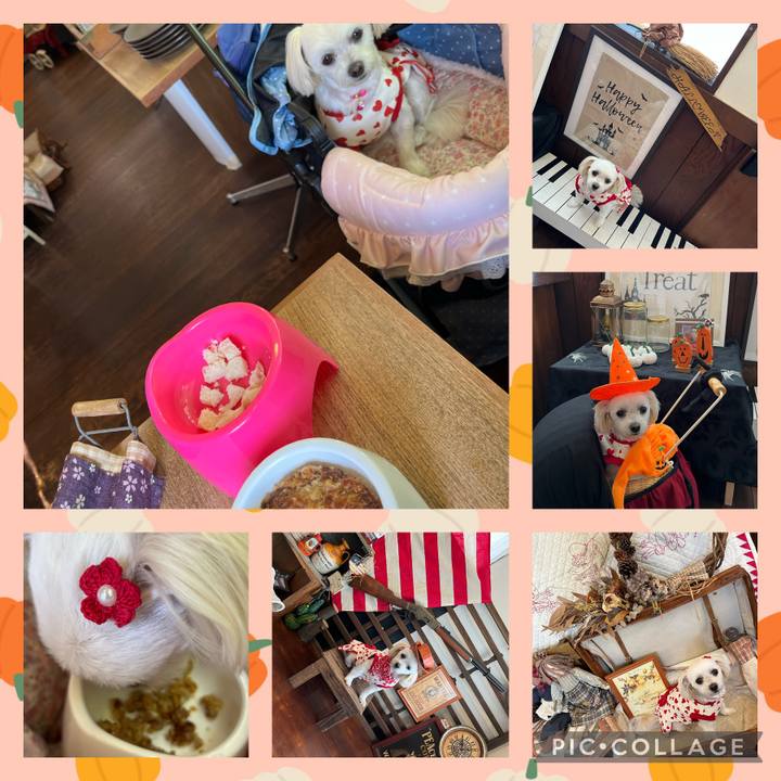 D9425417 bde4 49c3 b083 84bc37902c06 1665915515837