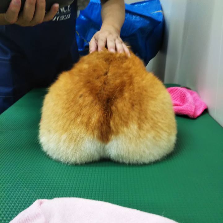 D9425e8d ca5c 47e0 adc4 ce9d8107eabb 1569764133000