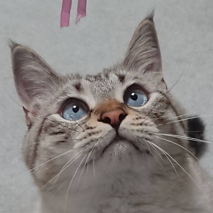 D942637e 3cd6 433d 9bcc a7a09ead9dbd 1566743446830