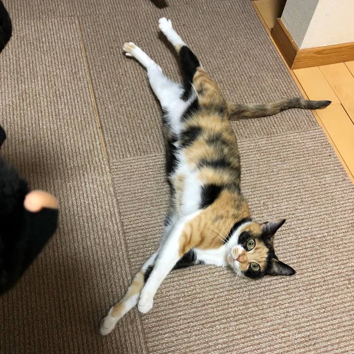 D942670b 270a 405d bfe8 37f736e514b3 1527080042280