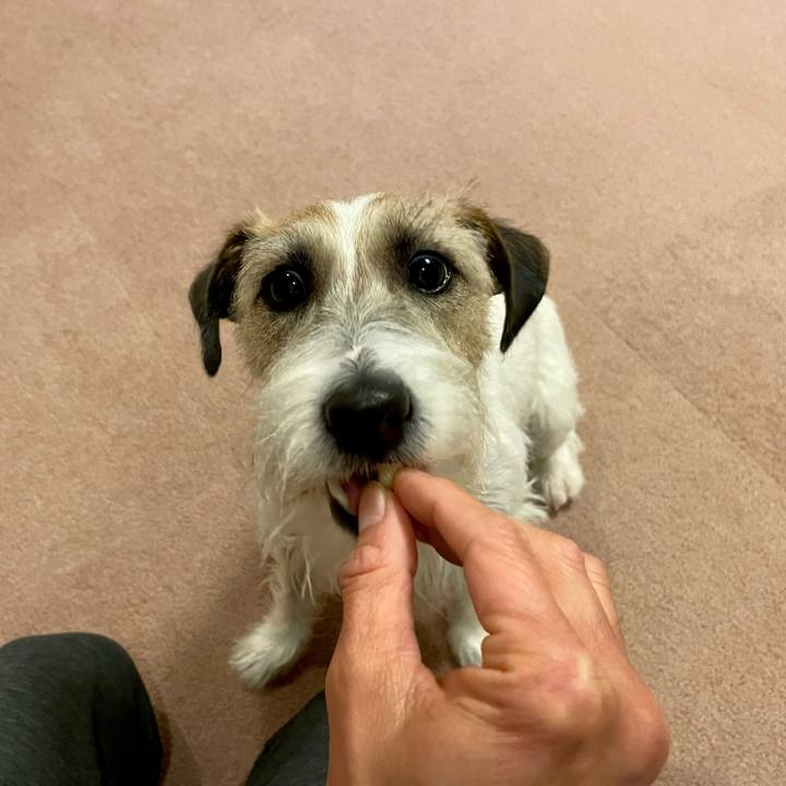 D94267c4 b8f0 4d1f 8e41 6ecb4a2c73e2 1644581491183