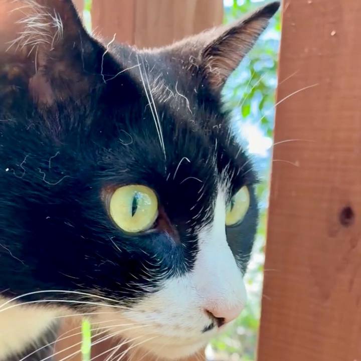 D94274b1 49a0 49e7 aa66 400629b33446 1759715831138