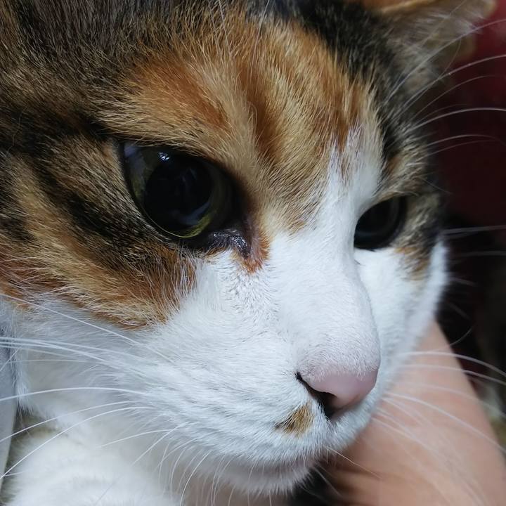 D94275ca 23f5 44f4 b70a 3a00c5fad644 1592216649408