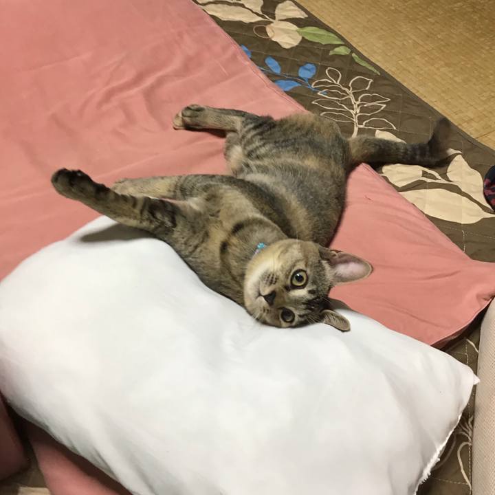 D9427ccc 16b3 4d4a 888e efcf442088eb 1573119736558