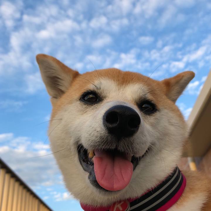 D9427f78 f8f2 43f9 a008 ca97213db82c 1531045409194