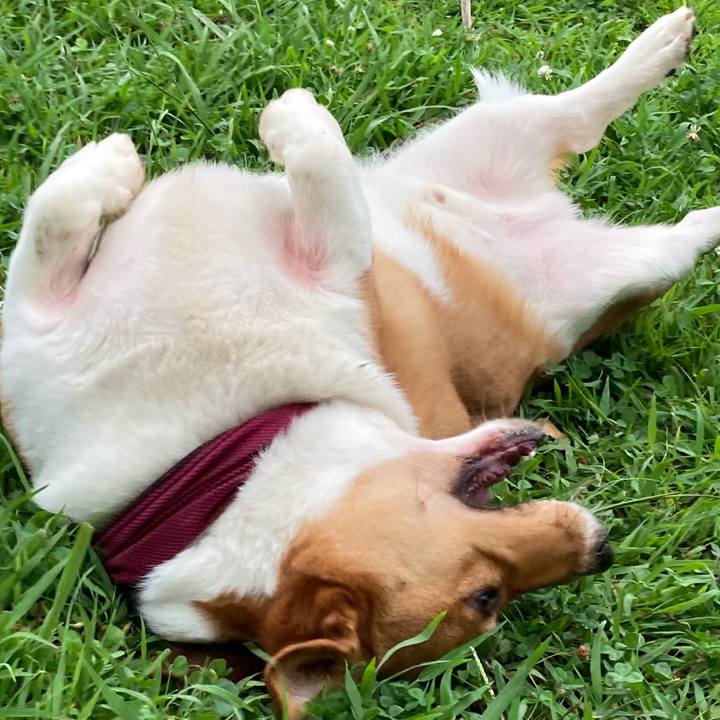 D94296a4 332c 49c9 bc4f 7453283c1b68 1661389075703