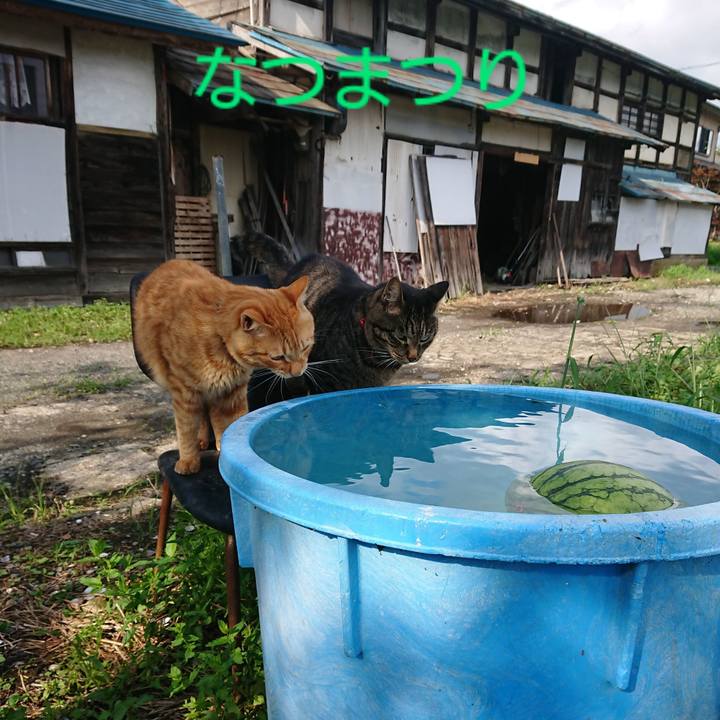 D942b903 620f 4146 90ff 521712acf5ec 1661669076396