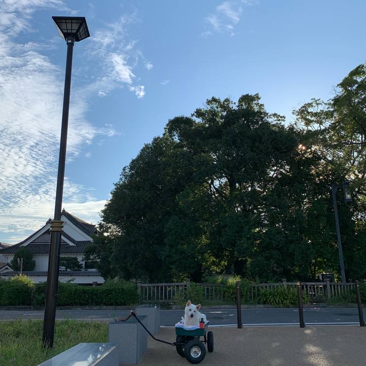 D942c2b1 3547 4d13 8f1c 7bbf2aa10741 1569709680042