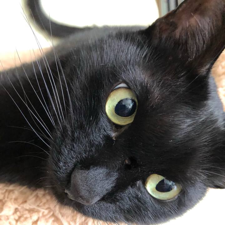 D942c710 557b 493f 8255 6c2a45918478 1556979908831