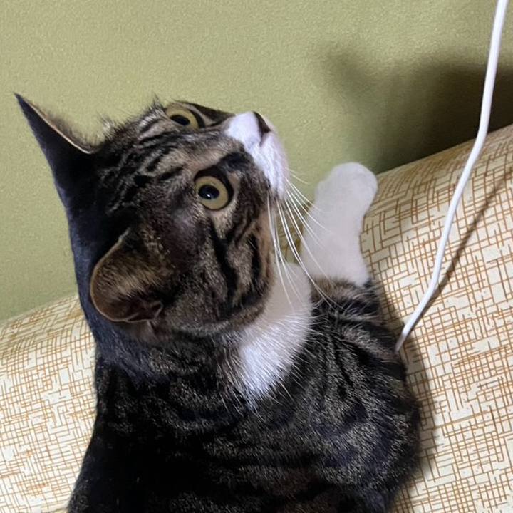 D9431646 8cfe 4f43 8cf7 d0a8de8663ed 1768697328915