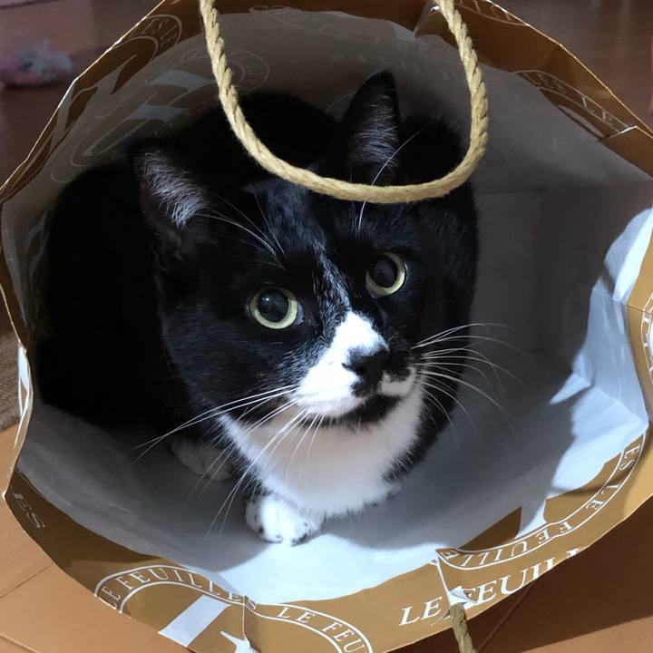 D94328f4 c09f 4407 a977 7fd6e182d032 1634527721493