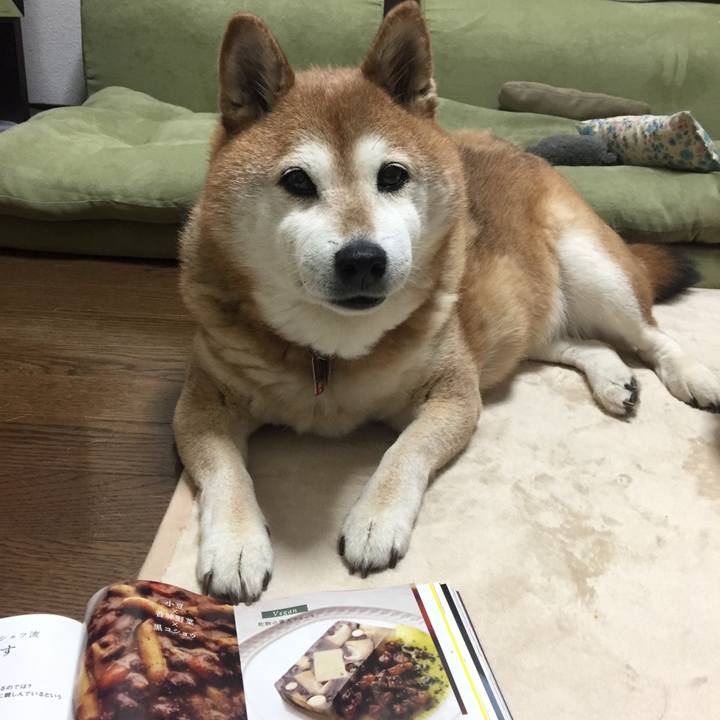 D9434b59 d182 4e88 b522 12d28adb88c3 1523021730252