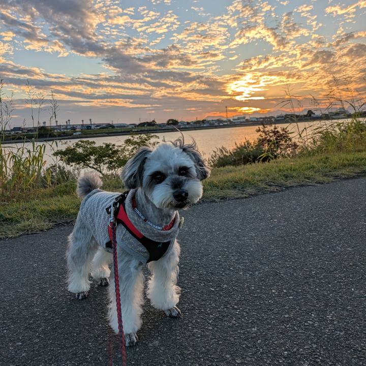 D943ec73 7f7e 4812 9757 35f44c8887e6 1762776648912