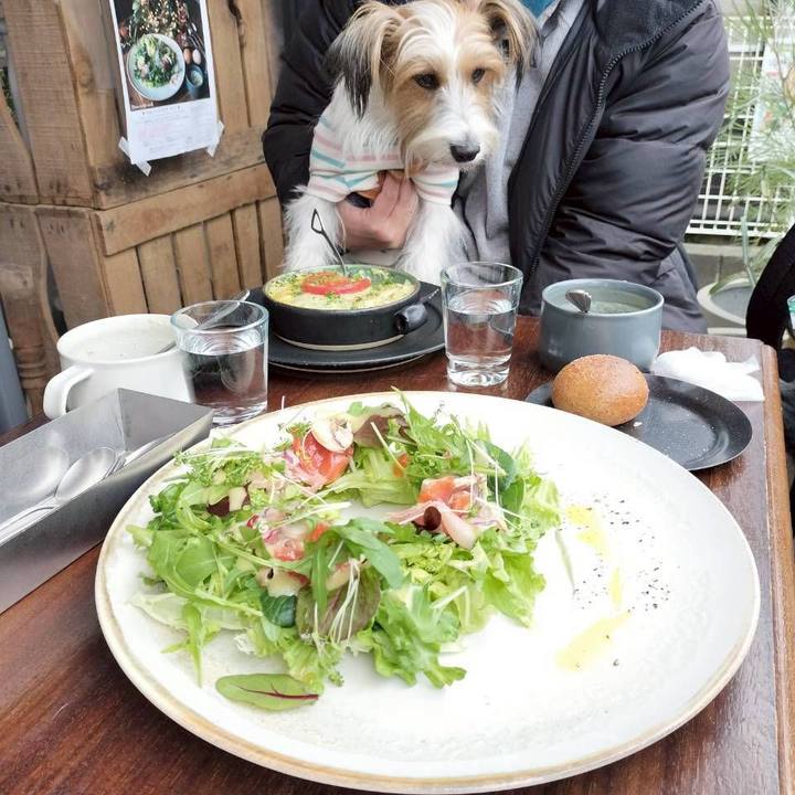 D943f33d d940 4a89 9050 82740b248a36 1765700197074