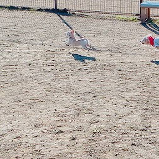 D944ae09 dd51 416b 82a9 6bedf80f1c71 1604125619366