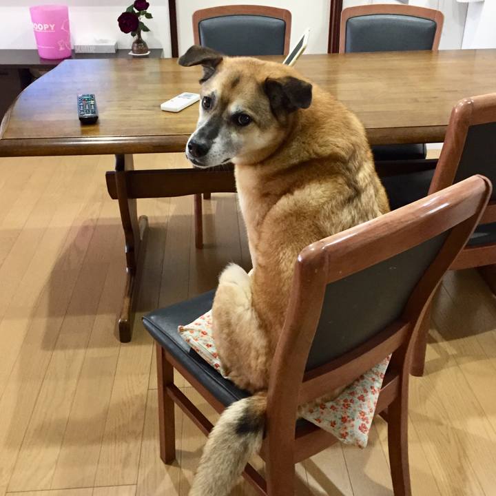 D944bf91 895d 4bd0 811f 055c5d1eae73 1589409504545