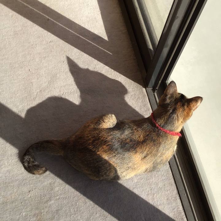 D944da74 ff79 4a18 a282 e3d4a5904235 1612509631933