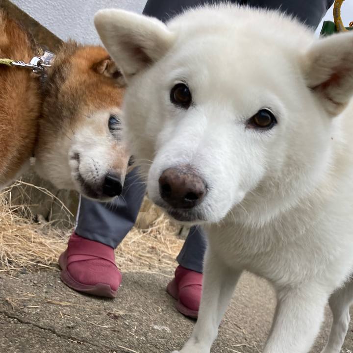 D9452d11 6ba7 4e1d 8cb8 710783309dae 1701735848491