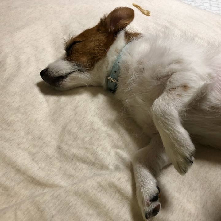 D9453d18 20ed 4c43 bb0b 5993d26534b0 1557319034790