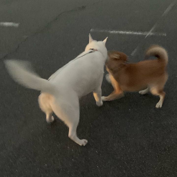 D9454510 5da1 4885 a048 732ca9b3eb10 1566041481112