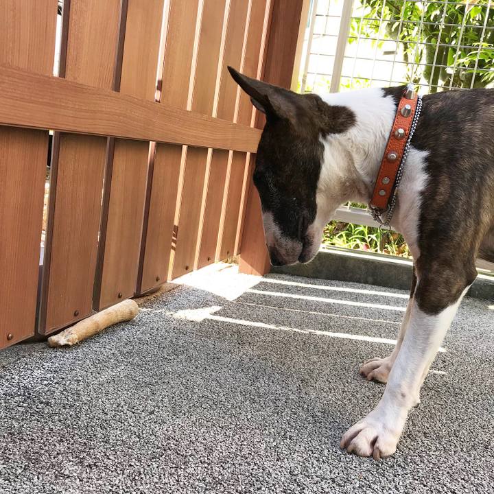 D945470a 5064 458d 825f 5fdfaafe2f20 1525410734433