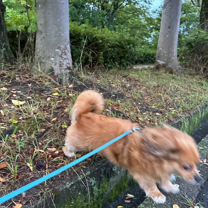 D9456207 9294 4fae a9a9 eb81dd4258b6 1694120640491