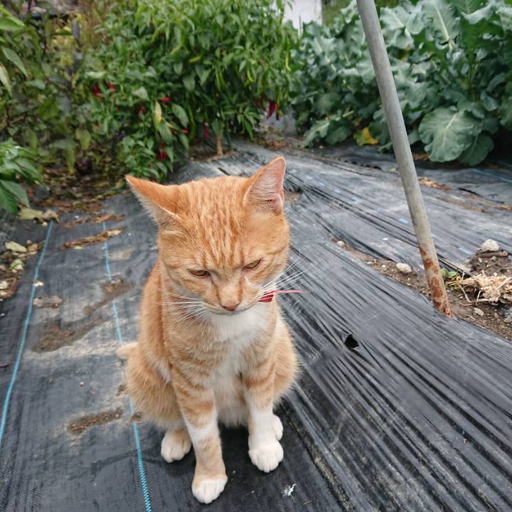 D9456e82 e324 4394 b69c 0a1bc9b6e9ba 1571025946652