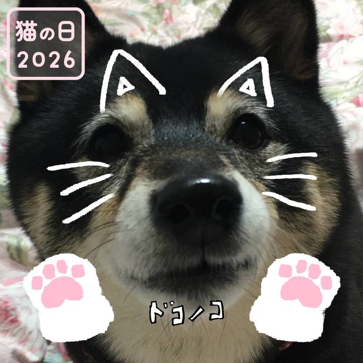 D945bdbd 8c67 4768 b327 eaae01671c61 1771721471884