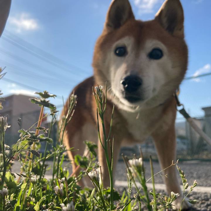 D945d2a8 f9b7 4c5d 99b1 19db7b7b5ecd 1742467733102