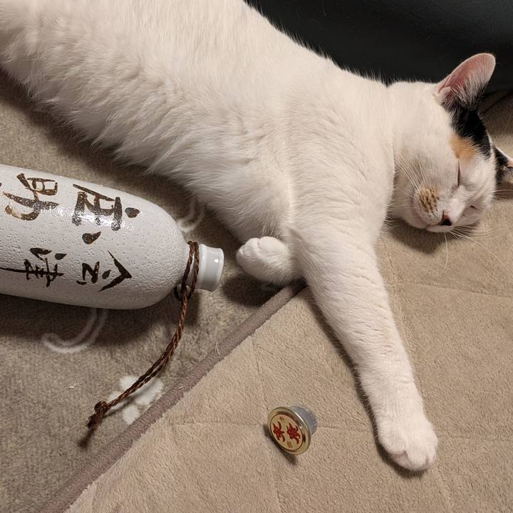 D945e86c e9e1 44ae a001 01f216c329b1 1733535020459