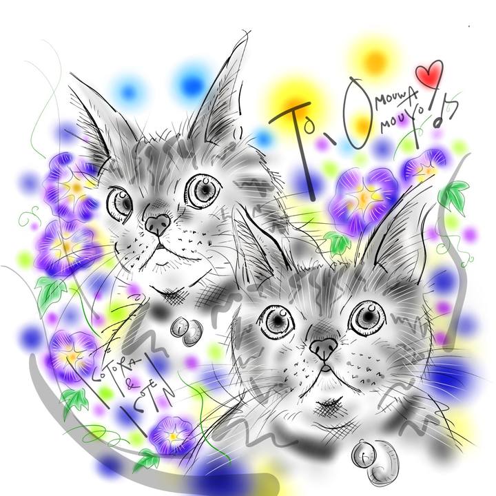 D945eade 76d9 440b 9a38 fe53473d7d73 1627340096226