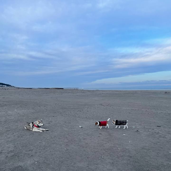 D9460386 f450 4b76 8e00 0c0565cca95b 1704932098724