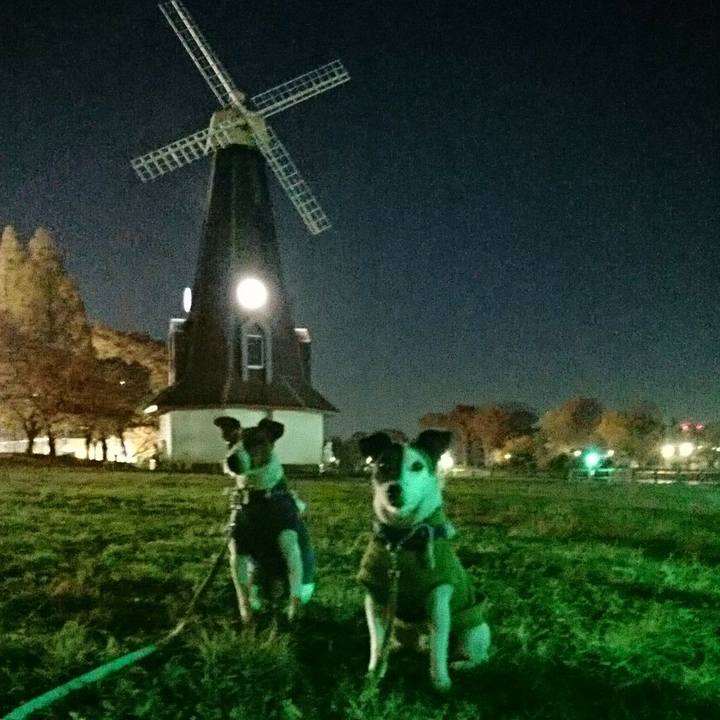 D9460a85 b0be 4d6d 871c a17b2c948555 1575112525052