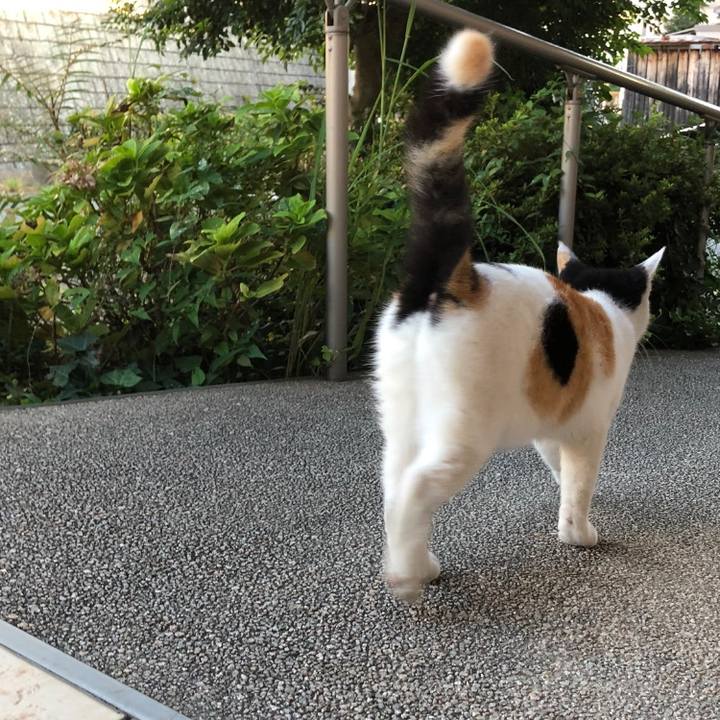 D9464267 86d3 43e8 96d3 ff822c9816f8 1600679728988