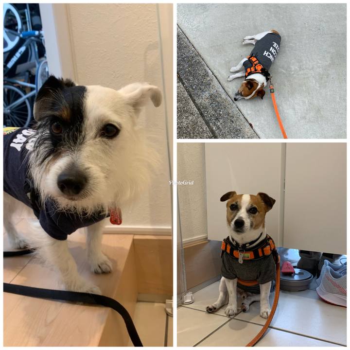 D946640a d329 491e bc5d 9932aea0e3e0 1588725553158