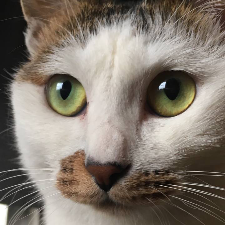 D9468b46 9f74 4e8c 8b0a 68719bf7e1a4 1516234788600