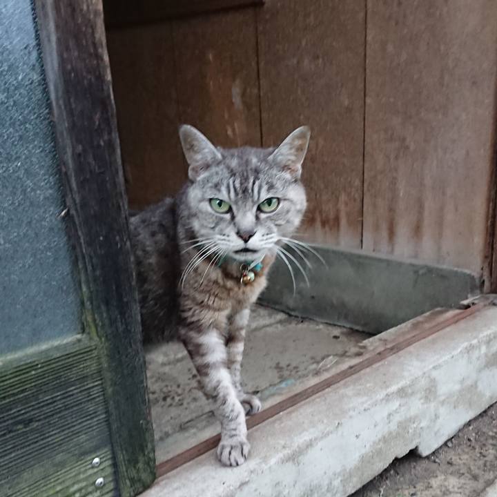 D9469b80 3bbd 4383 9ae0 95f2ba3288d6 1567458401949