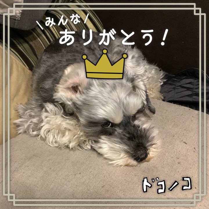 D946a4d1 805b 48a8 a04b 2253156f7a78 1622882188595