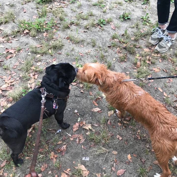 D946b3ac 1c65 491e 8cfa f747424e8f75 1536406914966