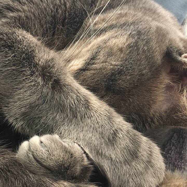 D946df44 b77e 447b 9510 40dd2845b4c5 1572669361439