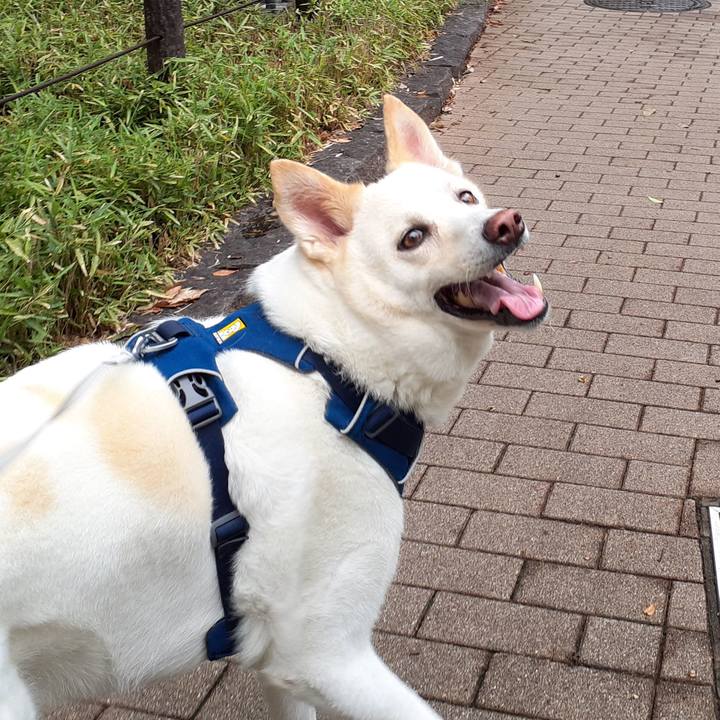 D946e1fd 69b9 4eaf a850 c4e3d79ff6fb 1694845500870