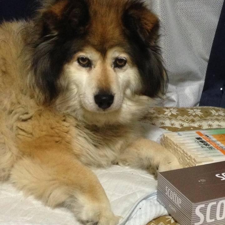 D946f04b 8d09 4877 998d 841551194f21 1608314614911