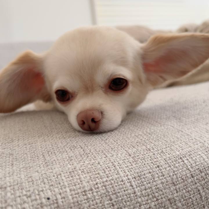 D94704ca 2afc 45a9 9211 48a22e9a529a 1723104786461