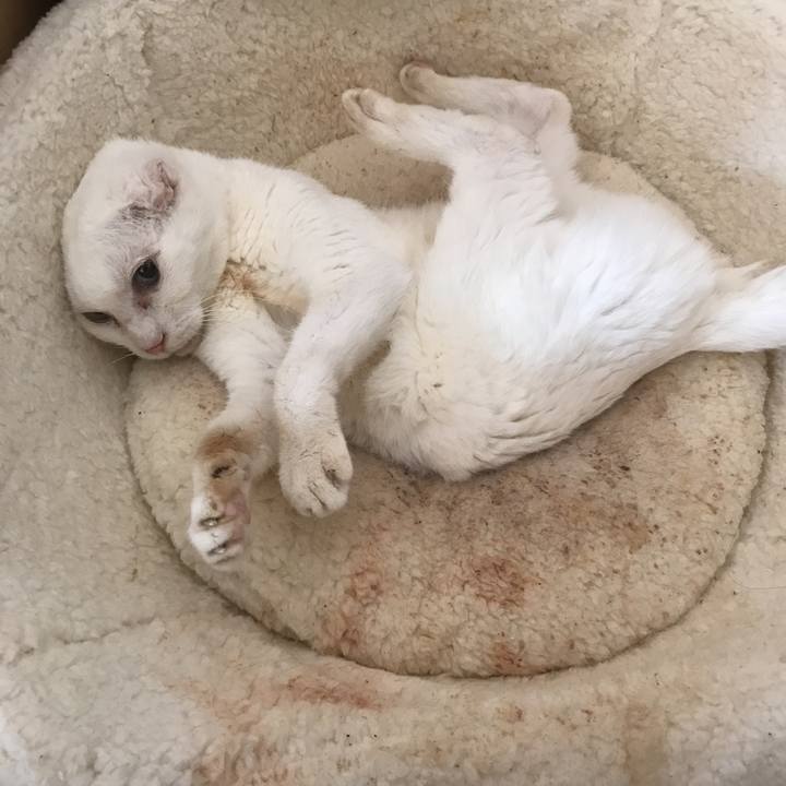 D9470869 1e9f 4393 828f b9d591275147 1522209758274