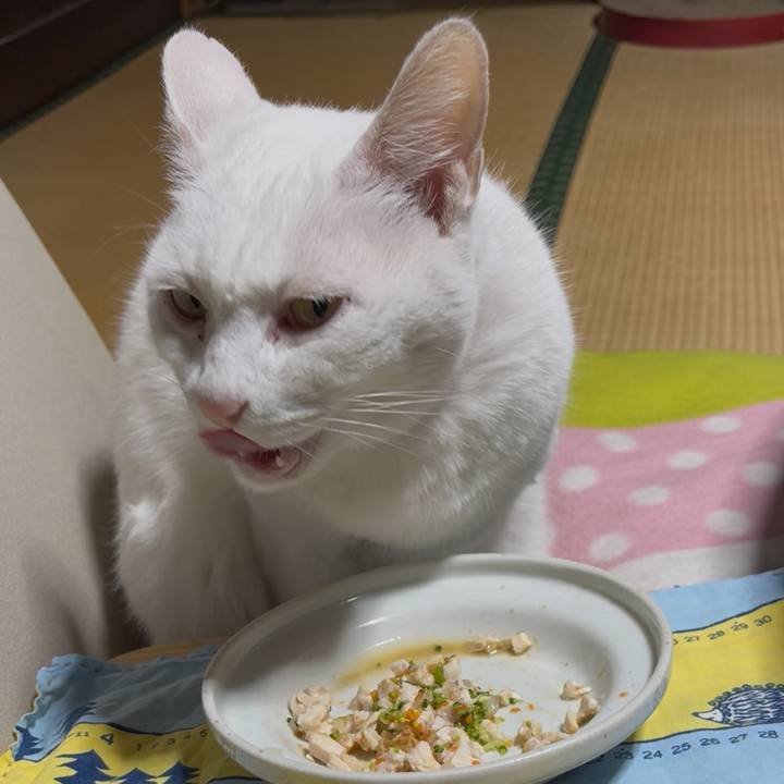 D94726bd 0d9c 4b8b ae7c d81b110cdc67 1764767480634