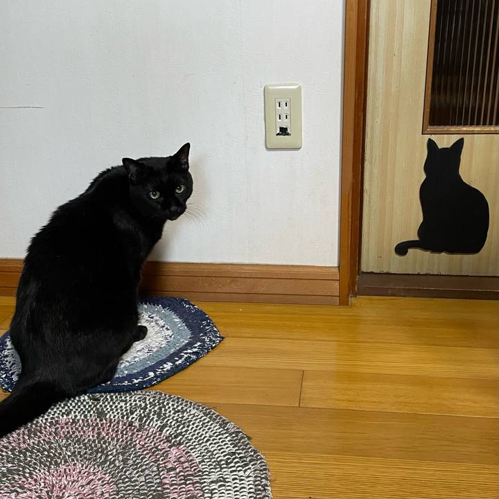 D9475211 fac5 4d2c b5f1 f6cf36503db9 1762728487966