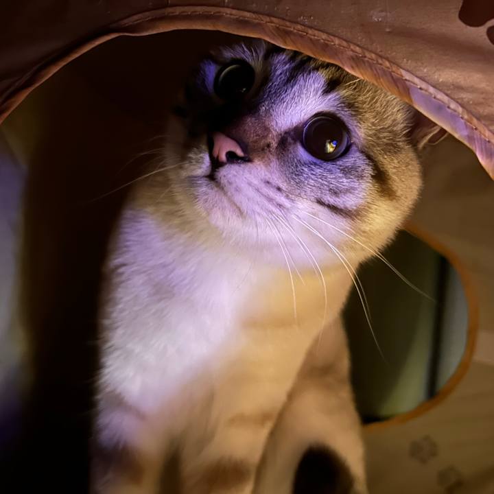 D947cdae c6ca 4ea8 af92 a4164b2b2657 1743863405143