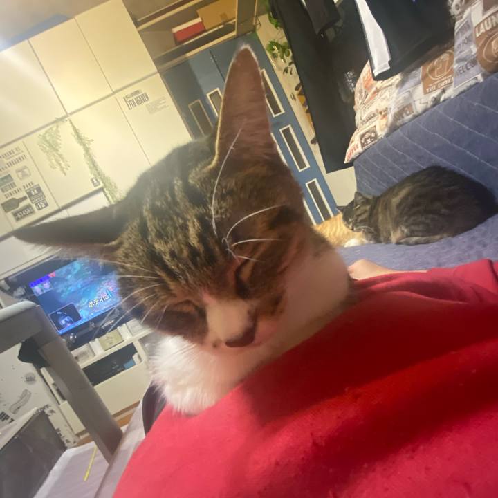 D947fd91 6d02 4c25 8502 81714800c892 1637338513841